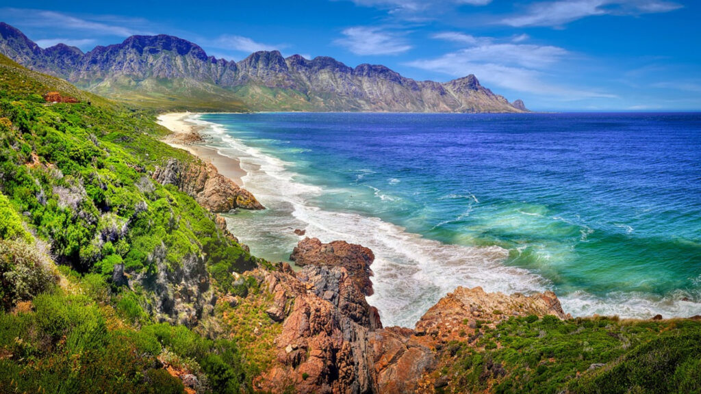 Le top 5 d'un voyage en Afrique du Sud